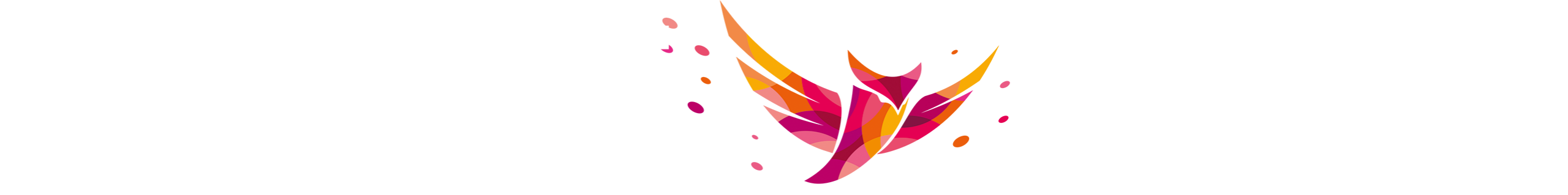 Sunset Beats Festival